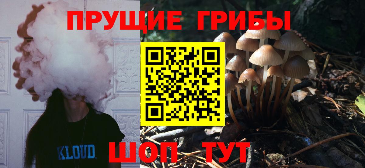 Галлюциногенные грибы Psilocybe  Псилоцибиновые грибы Psilocybe  как найти   Вход с VPN  Омск 